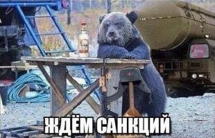 Совсем не "няшные" санкции