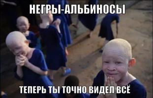 Дикие животные-альбиносы