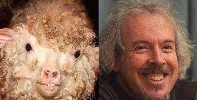 Не кот, но тоже похож!