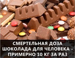 По моему любой не жидкой пищи 10 КГ будет смертельно :)