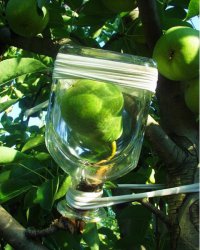 если у вас, вдруг!, на даче осталась пустая бутылка из-под коньяка... не выбрасывайте)))