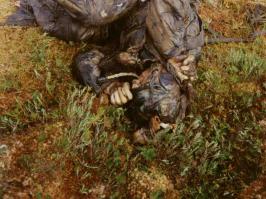 КАПАЮ ПОСТОЯННО И ВЕДАЛ ПОСТРАШНЕЕ
Найденный через 55 лет после гибели советский летчик Борис Александрович Лазарев. Истребитель «Харрикейн» сержанта Лазарева из 760-го смешанного авиационного полка 259-й иад 7-й ВА Карельского фронта был сбит в ходе воздушного боя 21 февраля 1943 года немецким летчиком-асом обер-фельдфебелем Рудольфом Мюллером из 6-й эскадрильи «Экспертенштаффель» (6/JG5 «Expertenstaffel») 5-ой истребительной эскадры Люфтваффе и упал в болото в 40 километрах от г. Лоухи Карело-Финской ССР (современная республика Карелия). Советский лётчик не успел покинуть самолёт и погиб в момент удара об землю.

Самолет с останками пилота был поднят из болота в 1998 году Санкт-Петербургской поисковой группой «Высота». Болотистая местность, бензин и масло из двигателя истребителя не позволили истлеть телу погибшего лётчика. Только лицо пилота было размозжено об приборную панель, а ступни были оторваны. В кабине пилота были найдены летные очки и самодельный нож с нанесенной на нем надписью «Другу Боре во второй год войны», на поясном ремне летчика висел пистолет ТТ, в карманах комбинезона были обнаружены красноармейская книжка, комсомольский билет, два письма и патроны от пистолета россыпью.

Сержант Лазарев с подобающими ему почестями похоронен на мемориальном военном кладбище в поселке Чупа Лоухского района Карелии. Детали найденного самолета были использованы при реставрации другого найденного «Харрикейна» для экспозиции Центрального военно-исторического музея на Поклонной горе в Москве. Родственники погибшего до сих пор не найдены.