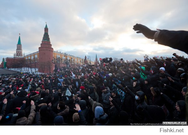 Хорошо, что в России такого нет! Больше чем просто фотография: группа граждан показывает друг другу на стаю пролетающих журавлей :)