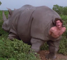 Без Эйса Вентуры пост ни о чем... Фи.