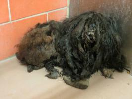 она ещё и улыбается:)Это чтобы дать понять-голова и рот у меня с этой стороны,кормить сюда