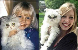 Показалось что на правой фотографии из кота чучело сделали,или игрушка такая страшная