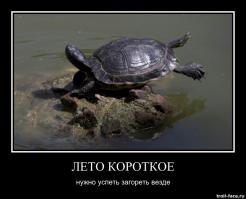 Лучшие фотографии животных со всего мира за неделю  