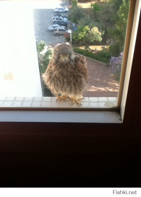В итоге я почесал репу,сфоткал,и вернулся спать.