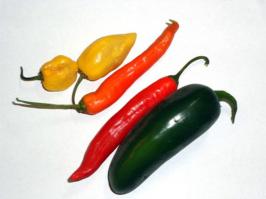 1-AJI CRISTAL
2-AJI CEREZO
3AJI LIMO
4-AJI PINGUITA DE MONO
5-AJI VERDE
6-AJIES SALSEROS
7-AJI CACHO DE CABRA
8-AJIES LIMOS
9-AJI MIRASOL O AJI AMARILLO
10-AJI CHARAPITA
11-AJI MOCHERITO
12-ROCOTOS ANDINOS
13- AJI CEREZO
14-AJI ESTRELLA DE MAR
15-ROCOTO
TODAS LAS VARIEDADES SON ANDINAS