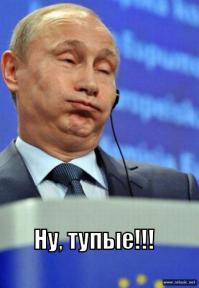 Теленок Герой получил протезы