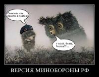 Реальные истории, стоящие за знаменитыми фотографиями