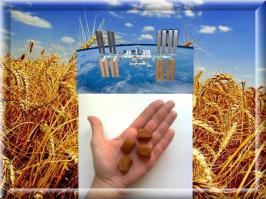 В отличии от астронавтов, космонавты едят нормальный хлеб.;)