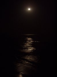 Есть задачи, есть методы их достижения. Пинхолл в летний день дает выдержку в 2-4 секунды, как понимаете зернистости неизбежать - света не хватит.
При этом зернистости многие добиваются постобработкой, для достижения определенного эффекта. 
Когда речь заходит о профессиональной технике, то обычные, "продажные" термины теряют смысл. Можно получить невероятно резкие фото на абсолютно нешумящей матрице, но такие фотографии - неинтересны, они "истошные". 
Бытовые мыльницы как раз в плане чувствительности  весьма неплохи - их задача получить снимок быстро и сносно одним нажатием. Как и любой универсал они все делают плохо. 
Еще могу привести пример, лично я на портретную сьемку таскаю старенький "Гелиос" и "мир", при всех недостатках, самые впечатляющие портреты получаются именно на них. 
А обычный зум я ставлю на пьянках, когда за качество не несу никакой ответственности, но зато получаю резкие фотки в любых условиях. 
Для такого хлама у меня даже папка отдельная.
Еще могу сказать мыльница мыльнице рознь, старенький олимпус выдавал мне отличные кадры - ночью, без вспышки с рук например вот: