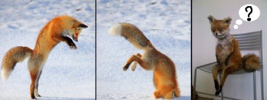 Фотоподборка за 08.12.2014