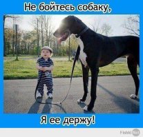 100 самых ценных снимков собак