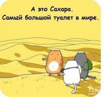 Смешные картинки с подписями