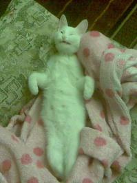 А это моя красавица.