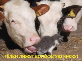 В буквальном смысле