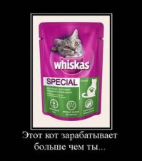 Краткий кошачий путеводитель по философии