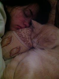 Коты - насколько же это сложные и непонятные существа!