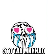 17 котов, из которых получились прекрасные няни