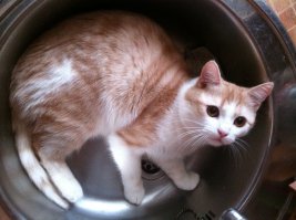 Самое удобное место