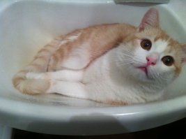 Самое удобное место