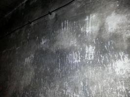 А царапины на стенах газовой камеры в Аушвице