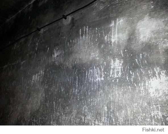 А царапины на стенах газовой камеры в Аушвице
