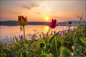 Крымская Весна