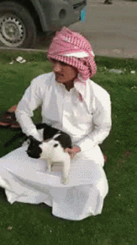 Чувак демонстрирует древнее бедуинское искусство боя на котах 
Котэ хороши как оружие ближнего, так и как метательный снаряд!