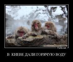 Элегантный графический троллинг с жирной политической сатирой