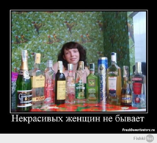 Фишкина солянка за 17.04.2014