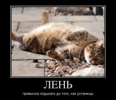 Фишкина солянка за 16.06.2014