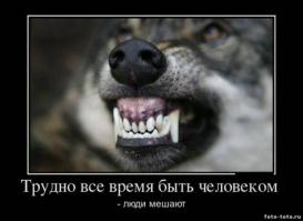 это не приколы-это издевательство над тварями бессловесными!!!