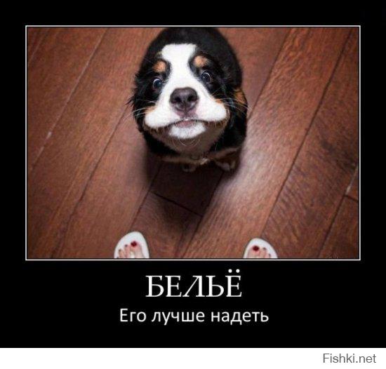 сори за баян.