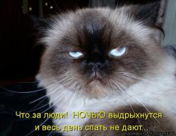  Картинки со смешными подписями