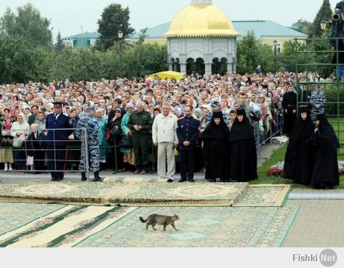 встреча великого котэ