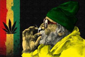 Влияние наркотиков на организм человека