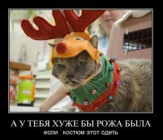 Мой хозяин - идиот!