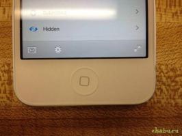 Она у них у всех чуть наклонена!