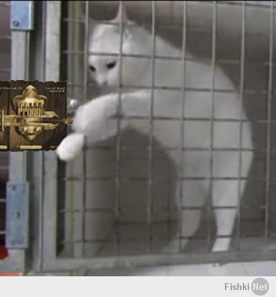 слудующий уровень