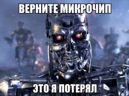 В России найден камень с микрочипом, которому 250 млн лет