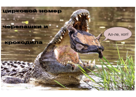 Ты всё неправильно понял. Не плач. Всё было на самом деле так.