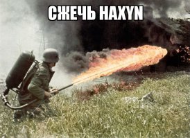 Странности из интернета