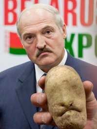  Интересная картошка
