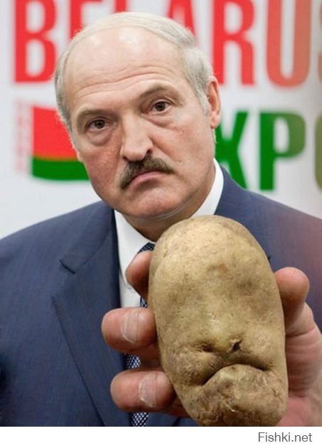  Интересная картошка