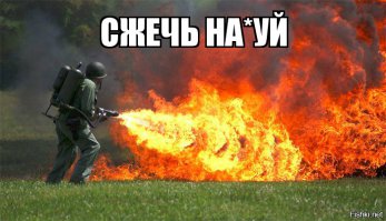 Логово пауков 