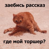 Как французы крутили свои яйца
