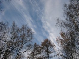 по-моему, так все было